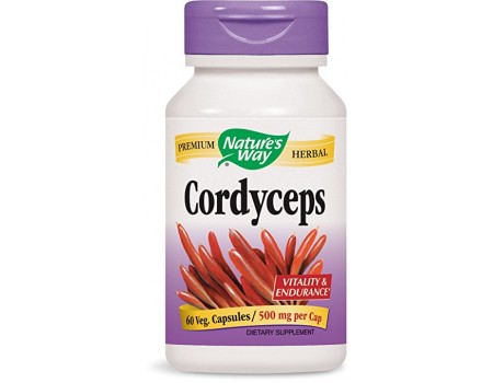 CORDYCEPS 500 mg. 60 capsules 