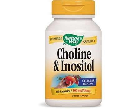 Choline Inositol 500 mg. 100 capsules