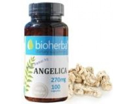 Angelica 270 mg. 100 capsules
