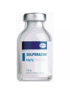 Sulperazon 1 g vial