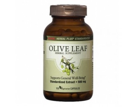 OLIVE LEAF 500mg. 100 capsules
